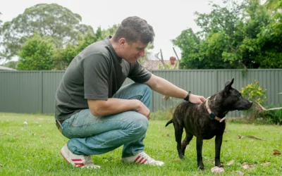 AI, Genomics, and One Dog Named Rosie: 5 Things the Story Gets Right About Personalised Medicine
